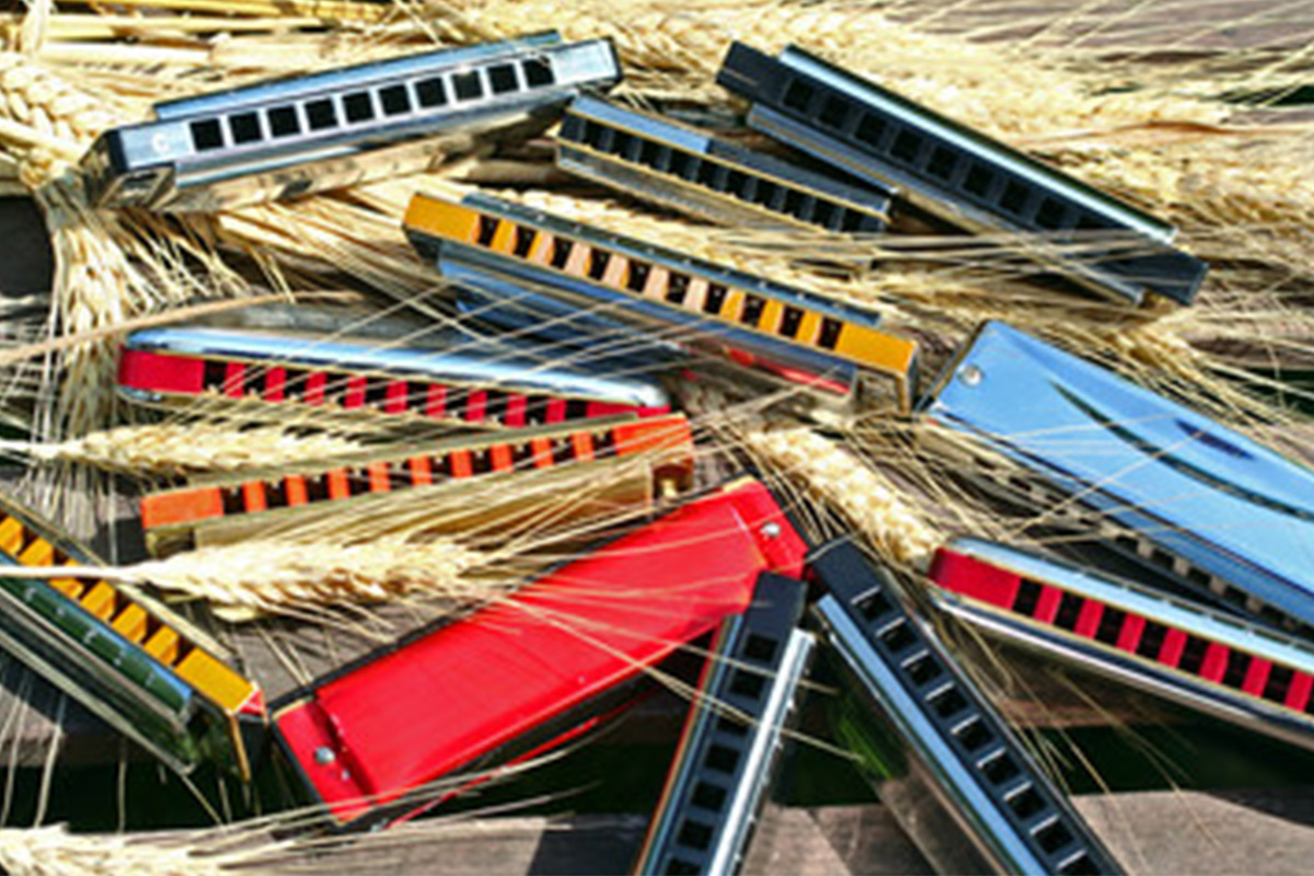 انواع ساز دهنی، بررسی و شناخت مدل‌های مختلف سازدهنی