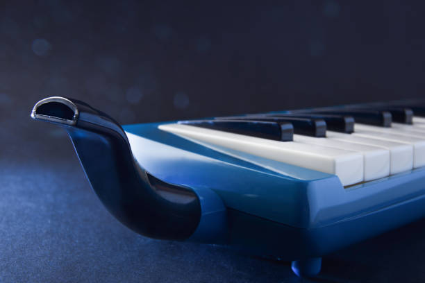 ملودیکا سازی فراخور هر فرهنگی