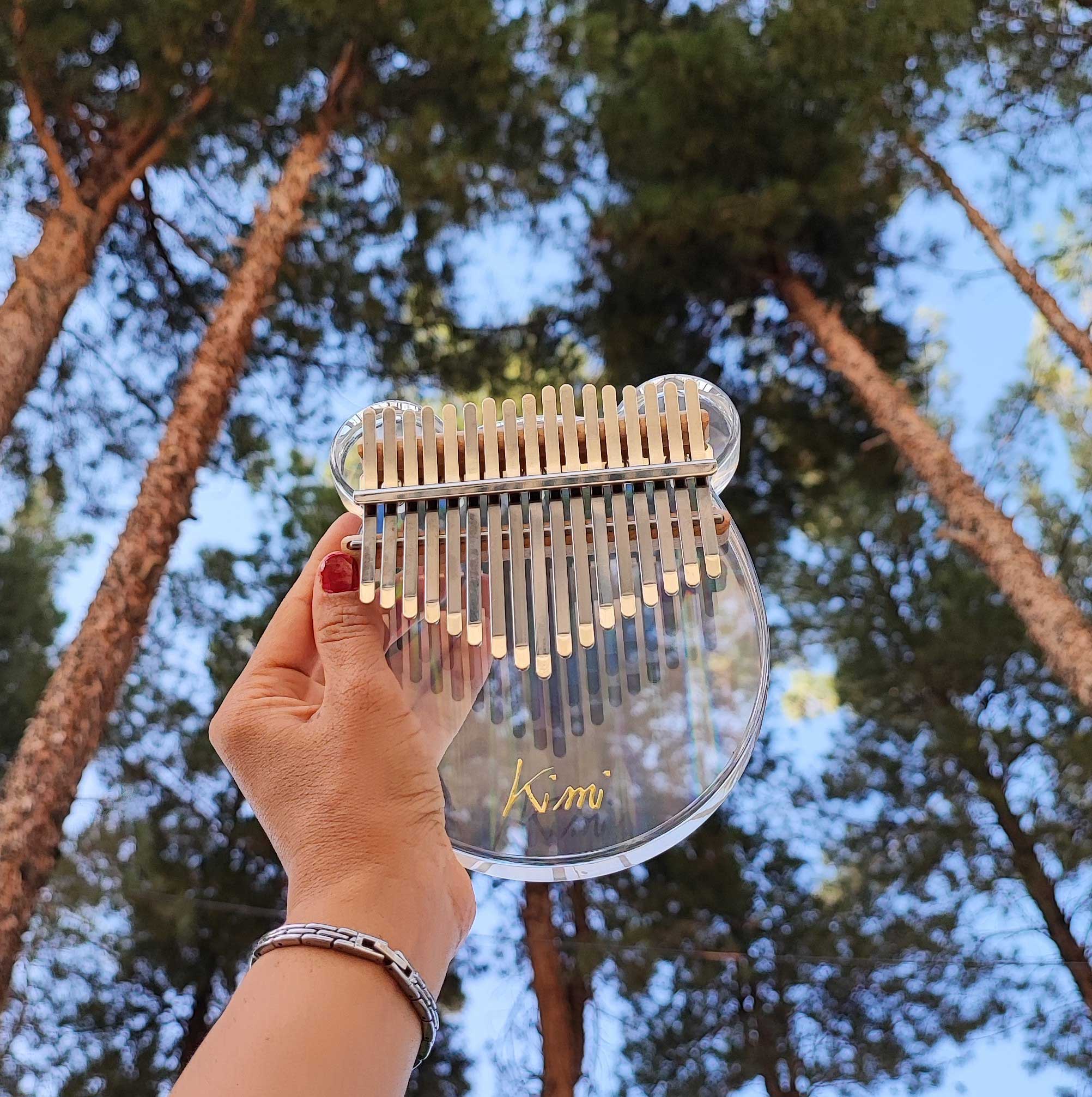 تبلچر بهار دلنشین