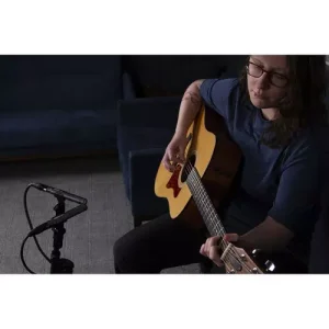 میکروفن قلمی زوم Zoom ZPC-1