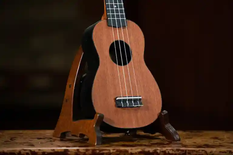 راهنمای کامل سایزهای یوکللی | مناسب هر سبک موسیقی