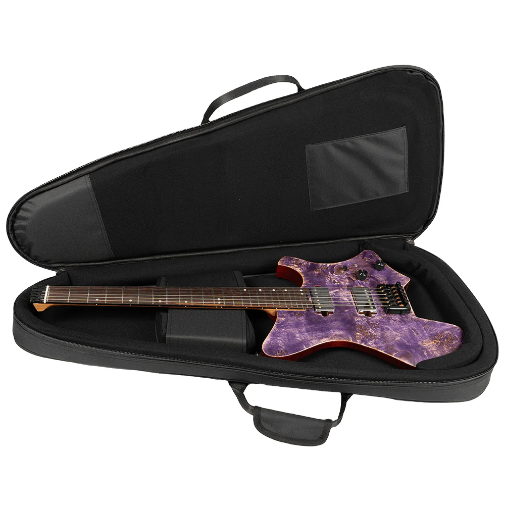 کیف یا کیس گیتار