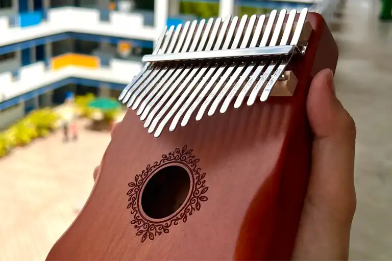 نگاه آموزشی به جایگاه کالیمبا در سال 2025