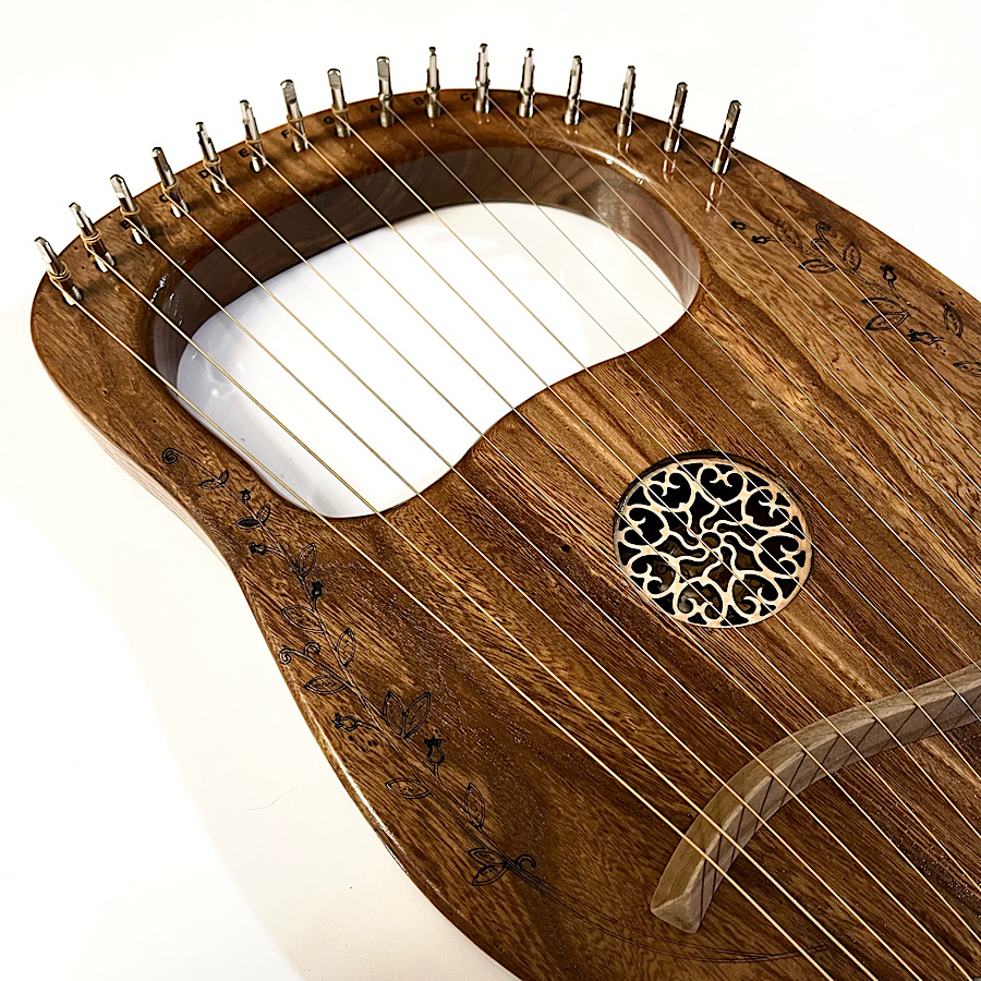 IMG_3125 چنگ رومی ۱۶ سیم انحصاری مدل L16NR