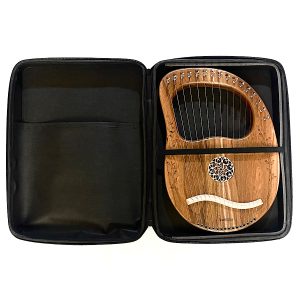 IMG_3128 چنگ رومی ۱۶ سیم انحصاری مدل L16NR