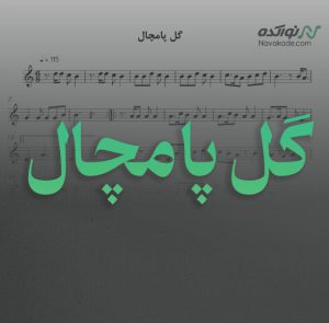 ویدئو و نت موسیقی گل پامچال